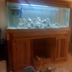 Custom 150 Gal Reef Aquarium