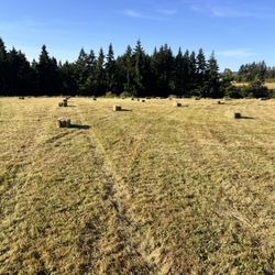 Fresh Cut Hay Available Now 