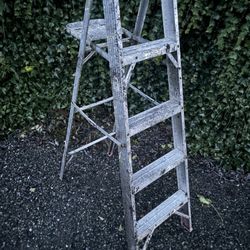 5ft Aluminum Painting Ladder 