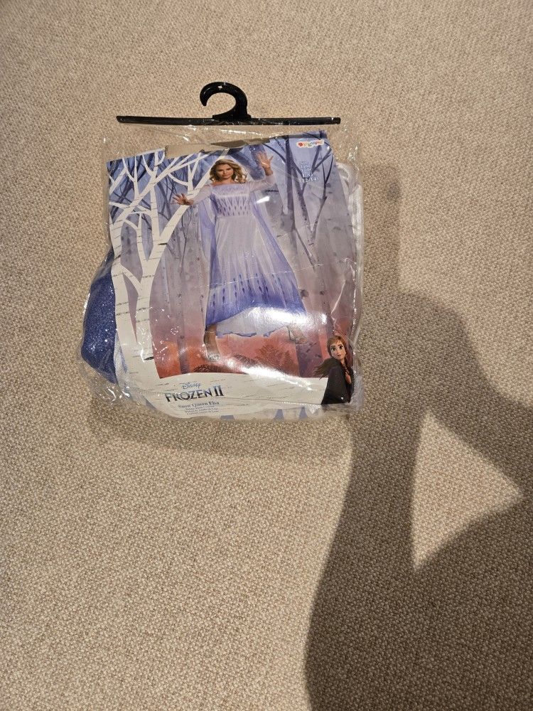Disney Holloween Costume