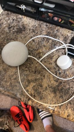 Google home device