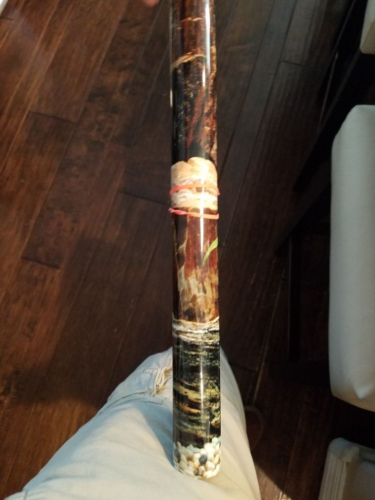 Reptile terrarium for Sale in Chandler, AZ - OfferUp