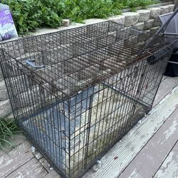 Dog Cage 