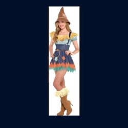 The Wizard Of  OZ  SCARECROW COSTUME