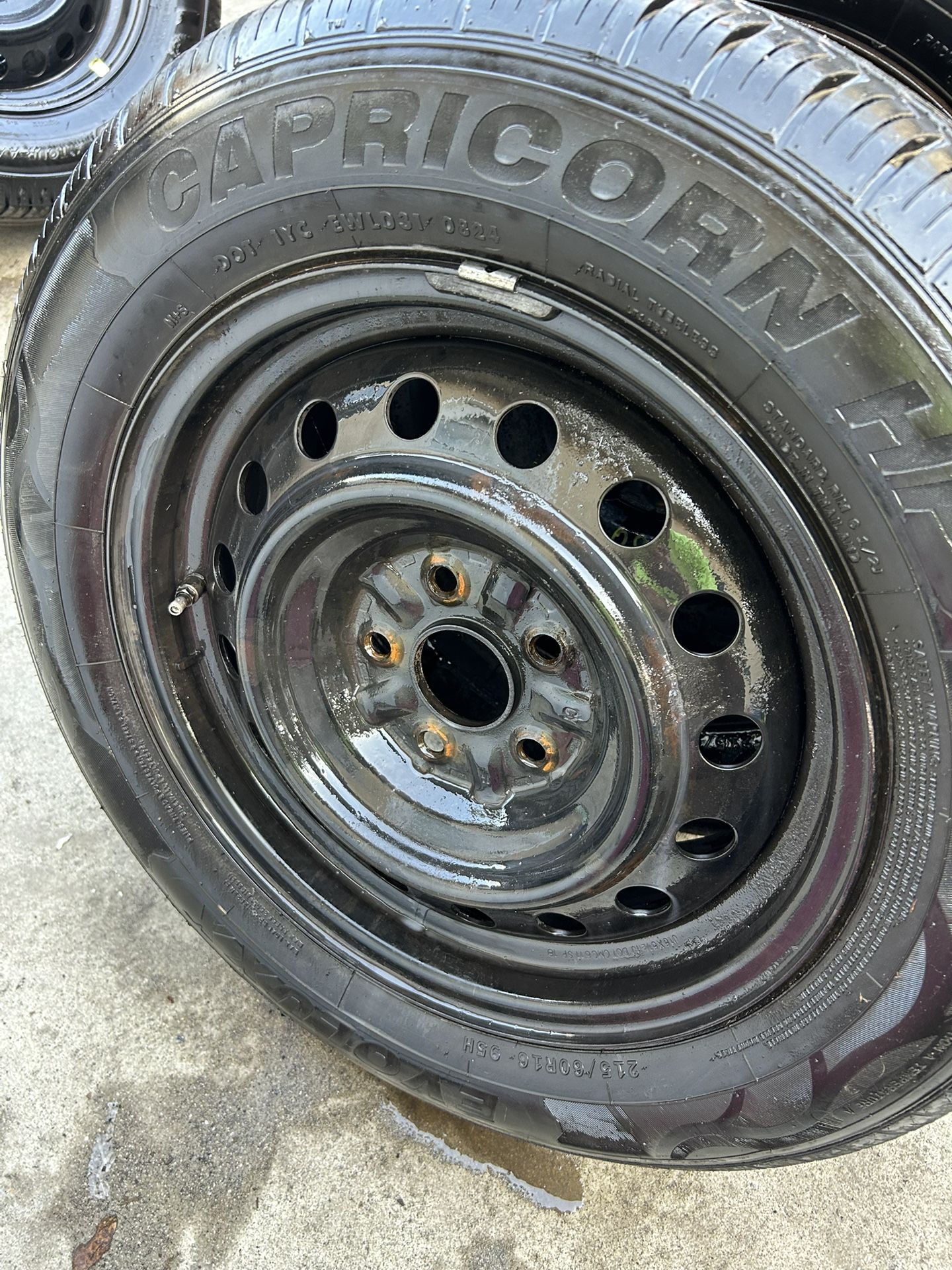 4- CAPRICORN RADIAL H/P