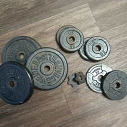 Weider Barbell Weights 