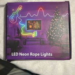 LED Neon Rope Lights