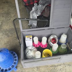 Chicken Supplies