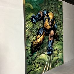 Canvas wall decoration 30”x42”. Brand new we can make it in different sizes, from 4.5”x4.5” to 30”x66”, Wood frame and sprayed with glossy clear coat