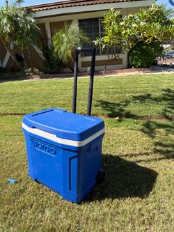 Igloo cooler