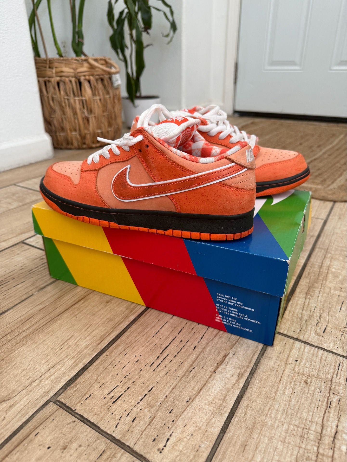 Nike Sb Dunk Low Orange Lobsters