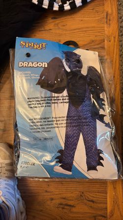 Dragon costume
