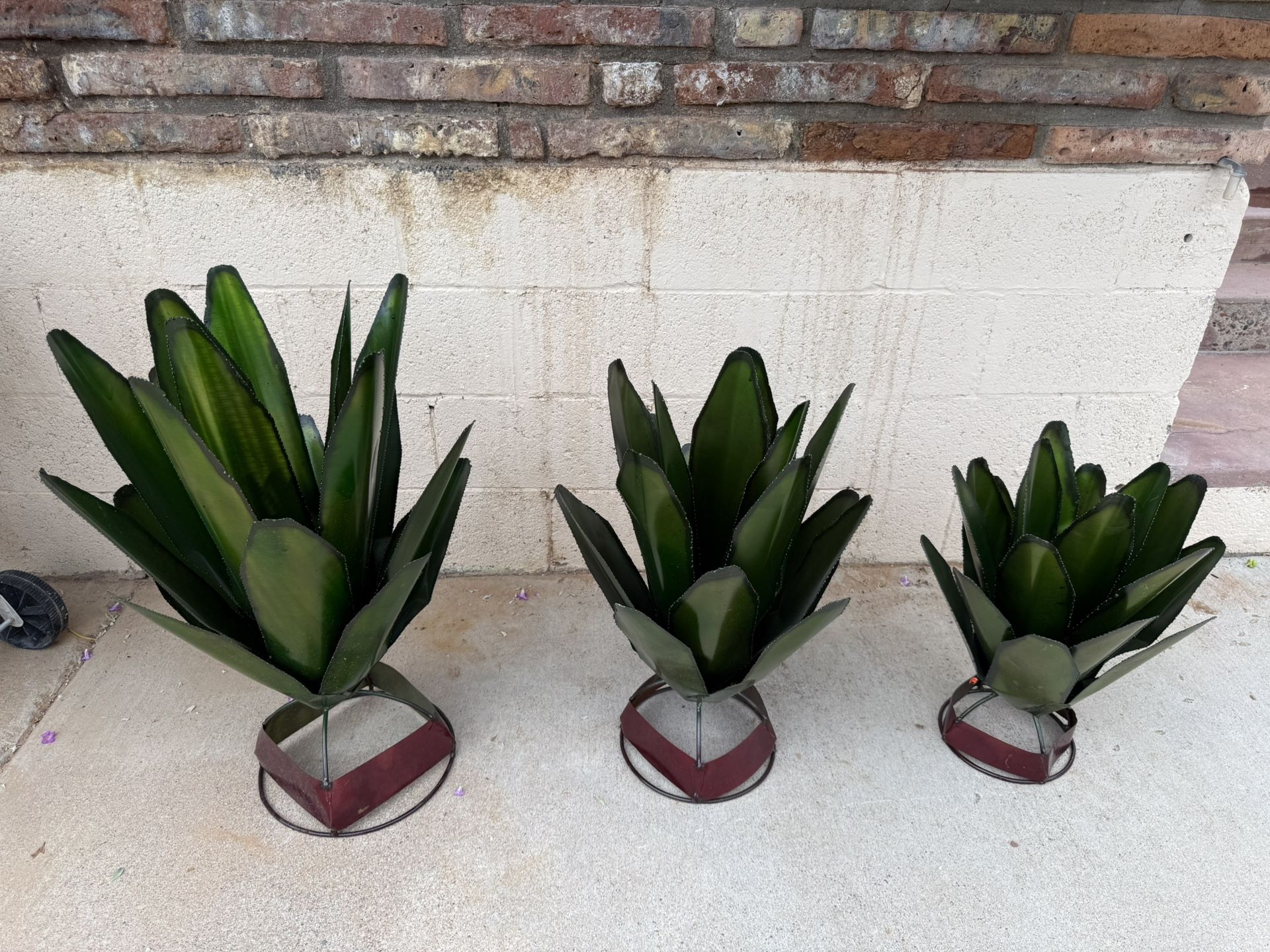 ❌GREEN PAINTED AGAVES❌