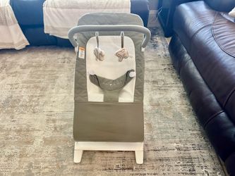 Brand New Baby Delight Alpine Deluxe Portable Bouncer