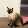 Zoe 