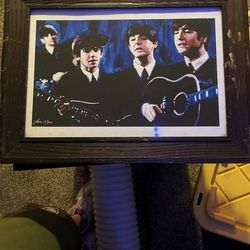 Beetles Canvas Painting 