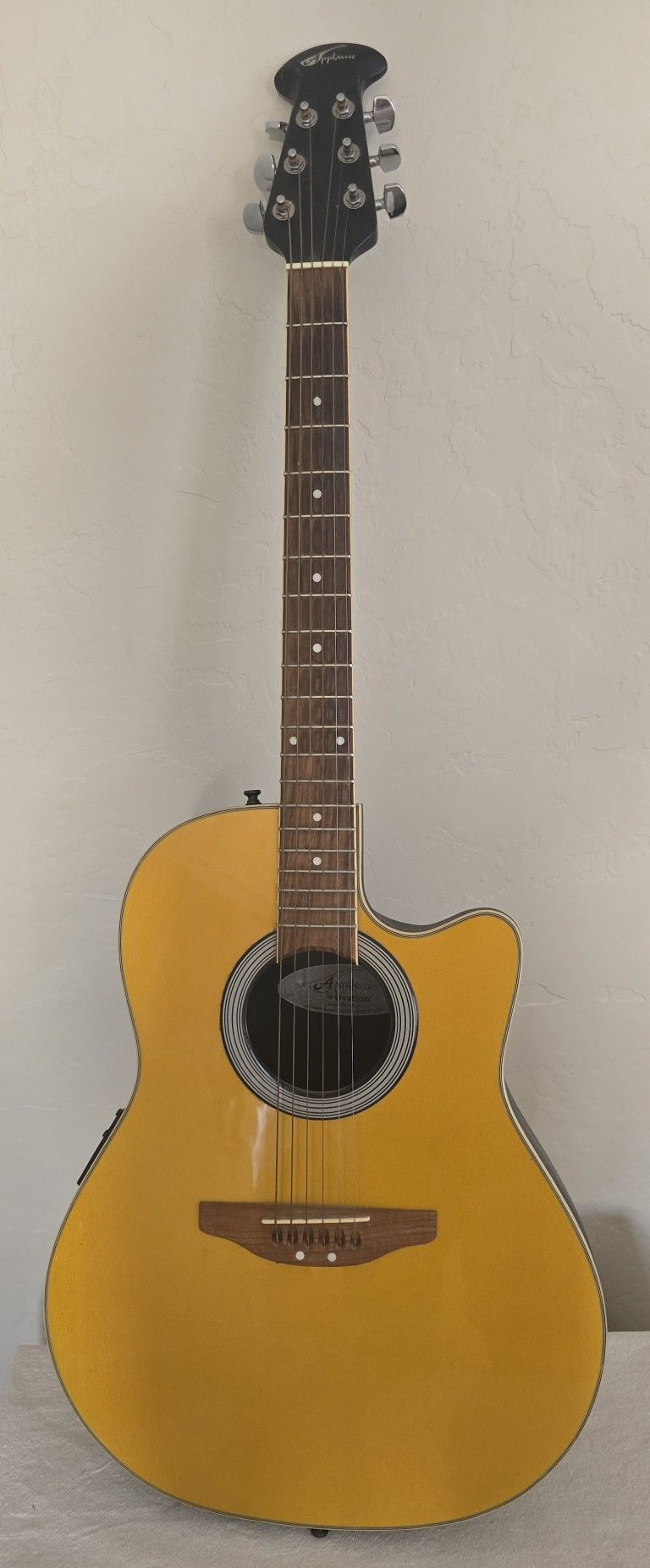Acoustic Guitar