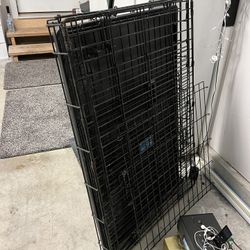 Dog kennel, removable tray, dividing wall