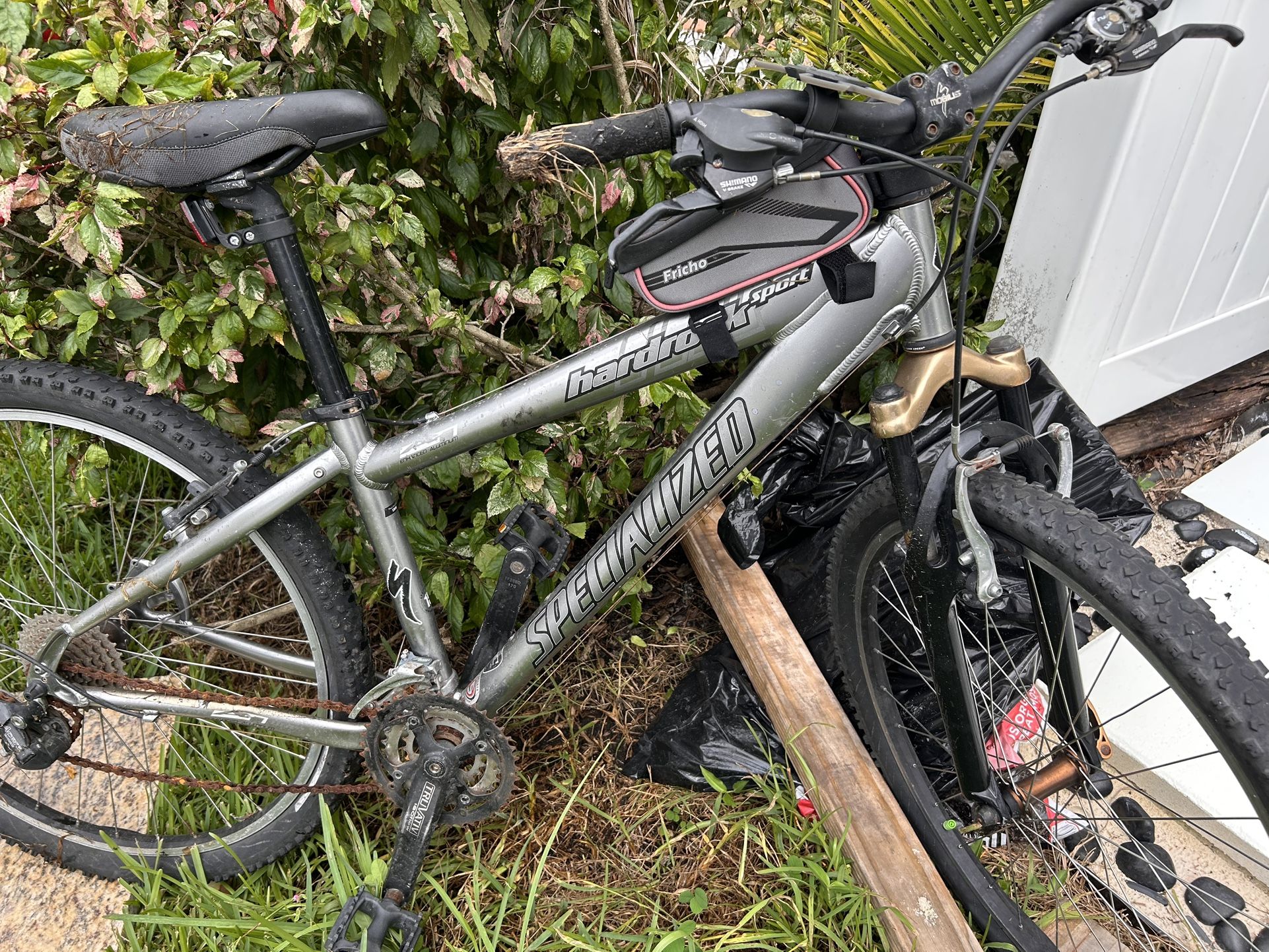 Specialized Sports Bike