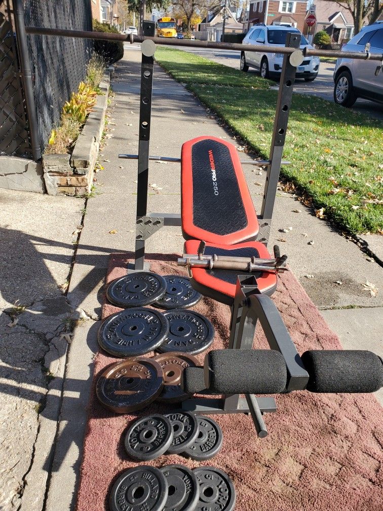 Weider Pro Inversion WEIDER PRO 220 WITH 1