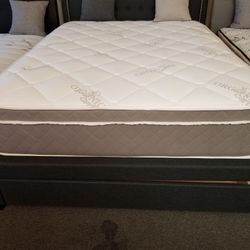 Brand New 12" Thick Innerspring Organic Cotton Soft Pillowtop Queen Mattress