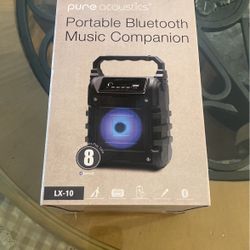 Portable Bluetooth Music Companion