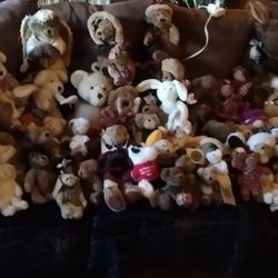 Massive Lot Of Boyds Bears Bears 
