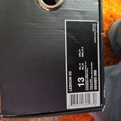 LEBRON DATA 12( SIZE 13)