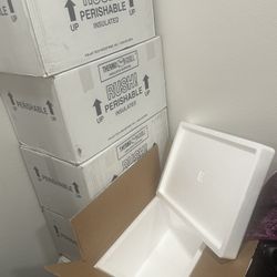Polar Tech Insulated Box Cooler For Shipping Frozen Goods