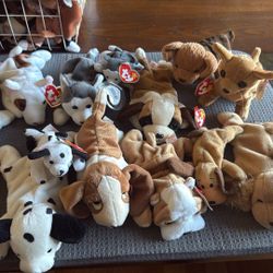 TY Retired DOGS🐶 Beanie Babies Lot Of 15 NWT