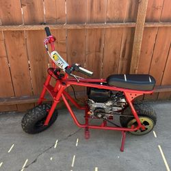 Mini Bike 