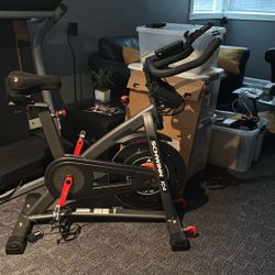 Schwinn IC4