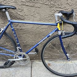 TEAM FUJI ROAD RACING BIKE 