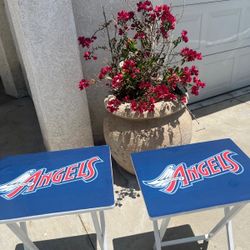 Sports TV tray