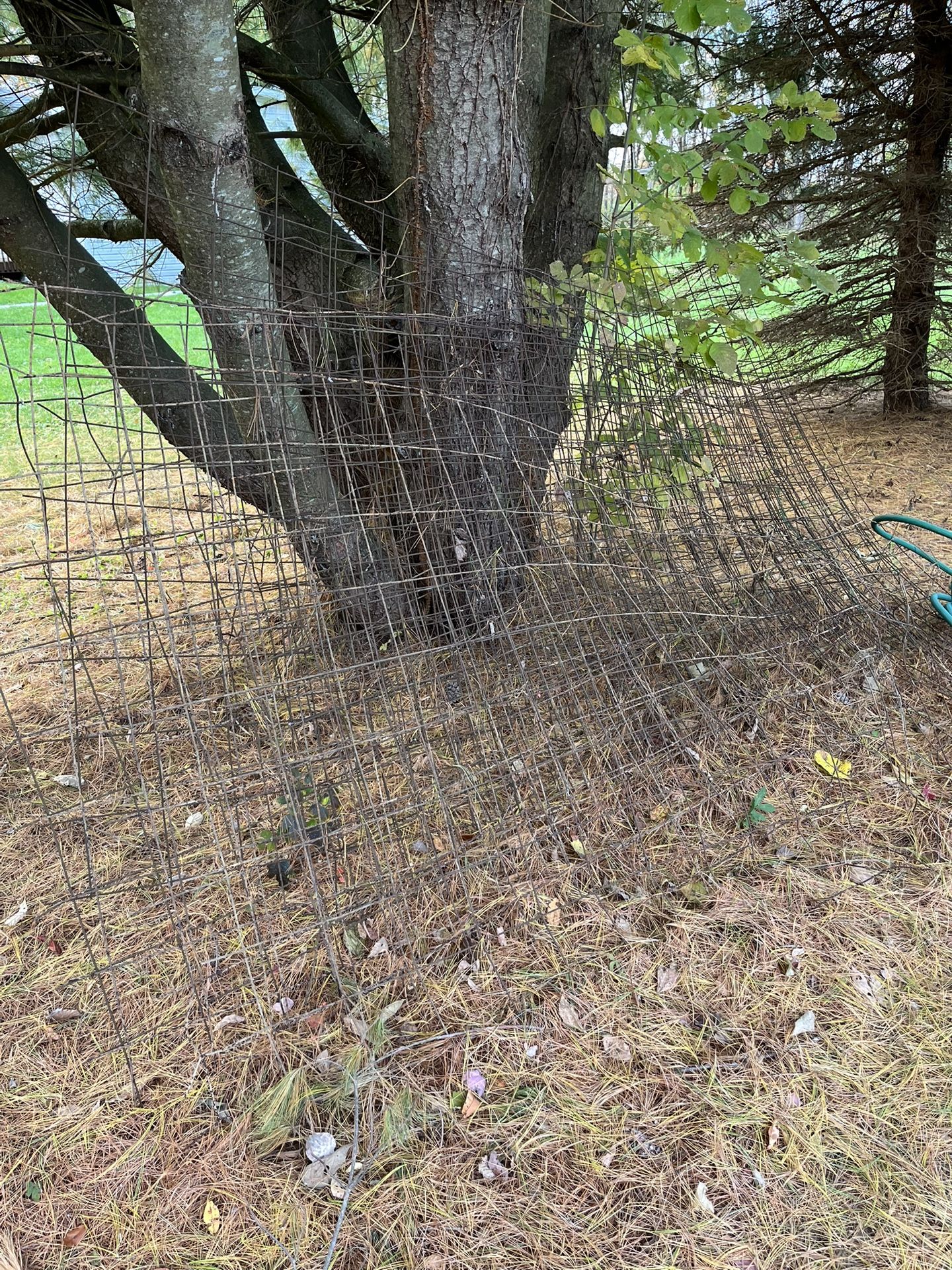 Free Concrete Reinforcing Mesh