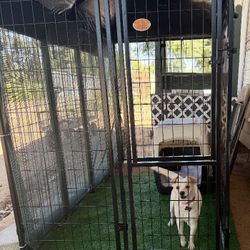 Dog Kennel