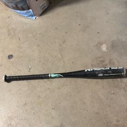 Rawlings raptor baseball bat