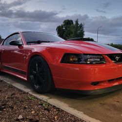 2003 Mach 1 Mustang