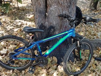Reid Scout Kids Mountain Bike