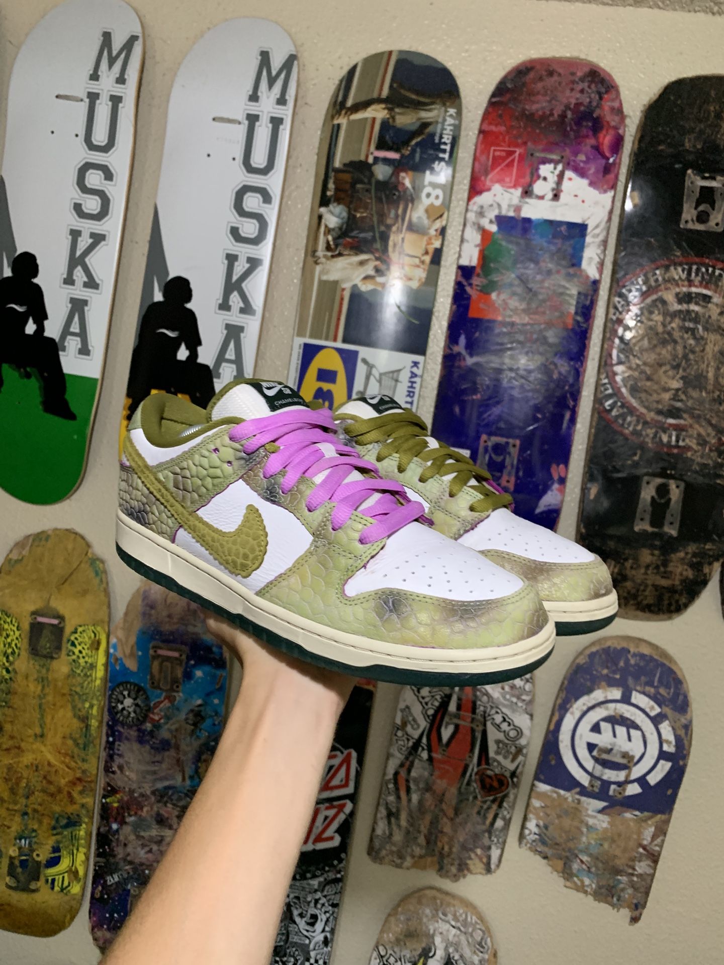 Nike Sb Dunk Chameleon Size 11