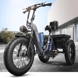 Electric Tricycle Dual battery