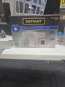 Defiant motion flood light