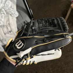 baseball glove 