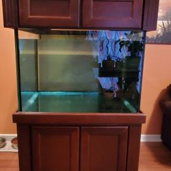 150 Gallon Reef Ready Cube Tank