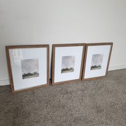3 Large Picture Frames 