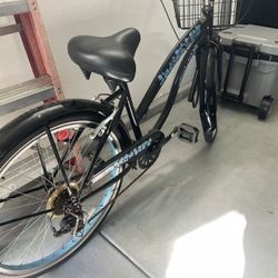 Beach Cruiser 