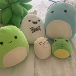 Squishmallows 