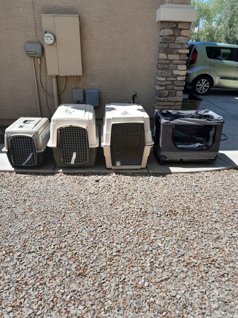 Large Or X-Large Pet Dog Carrier Kennels $30-$40 Each See All Photos