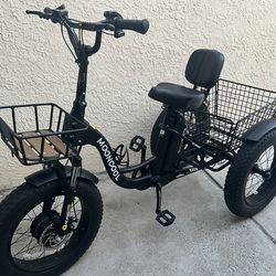 Electric tricycle bike