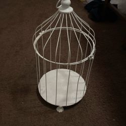 Bird Cage 